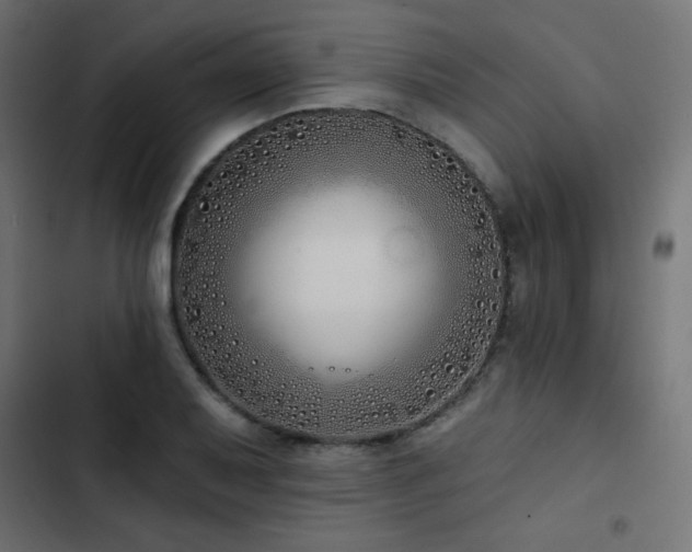 X0000103491079200809121709