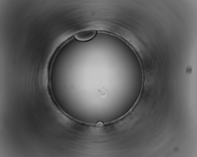 X0000103491080200809121709