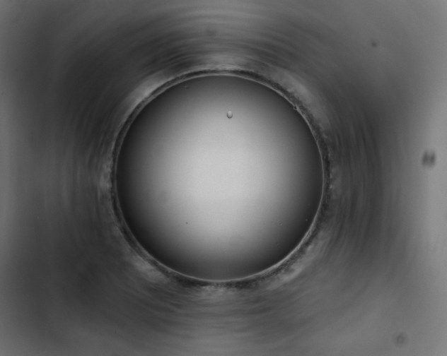 X0000103491081200809121709