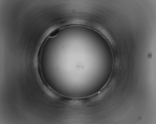 X0000103491082200809121709