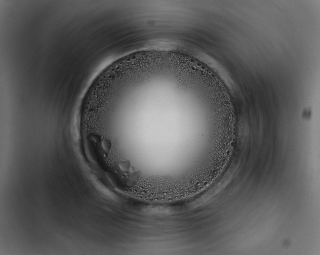 X0000103491083200809121709