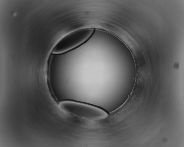 X0000103491084200809121709