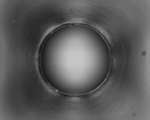 X0000103491085200809121709