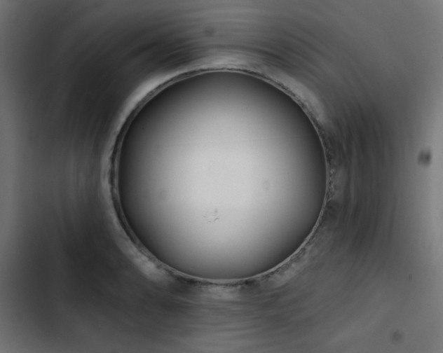 X0000103491086200809121709