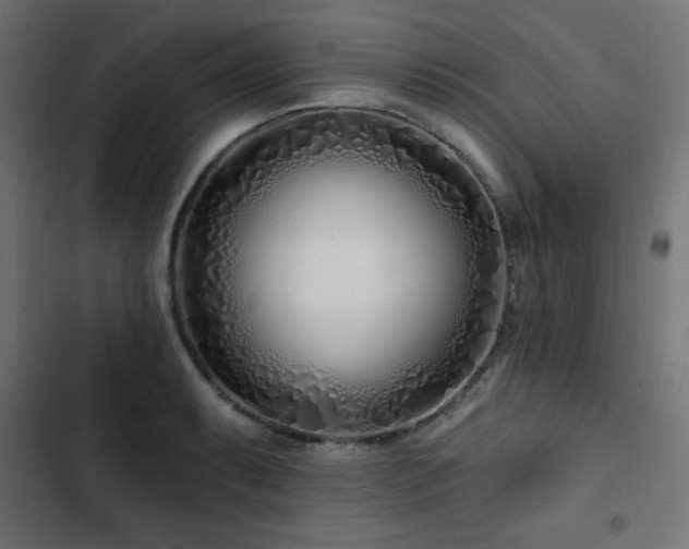 X0000103491087200809121709