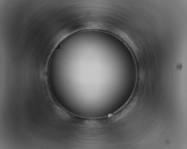 X0000103491089200809121709