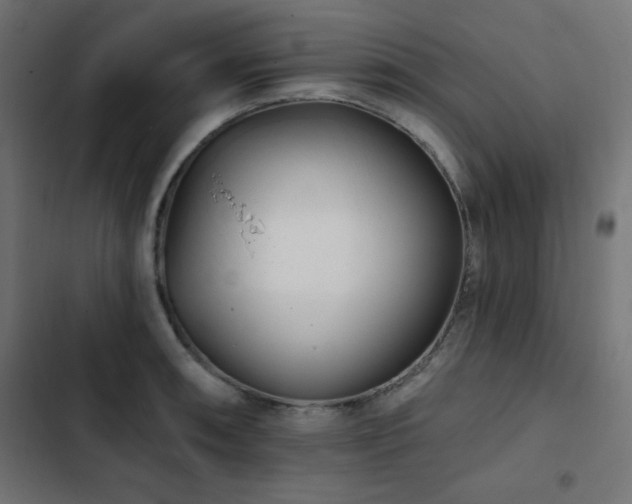 X0000103491090200809121709