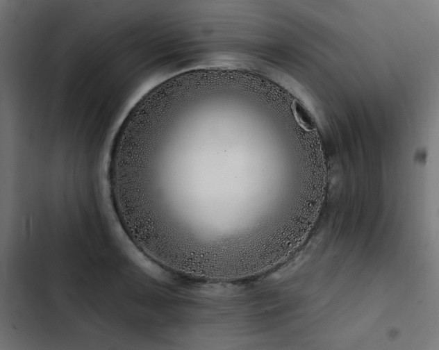 X0000103491091200809121709