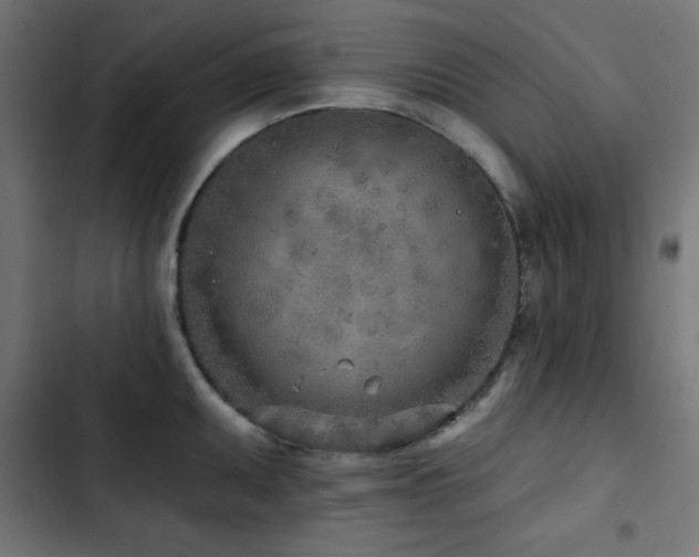 X0000103491095200809121709