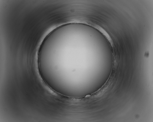 X0000103491096200809121709