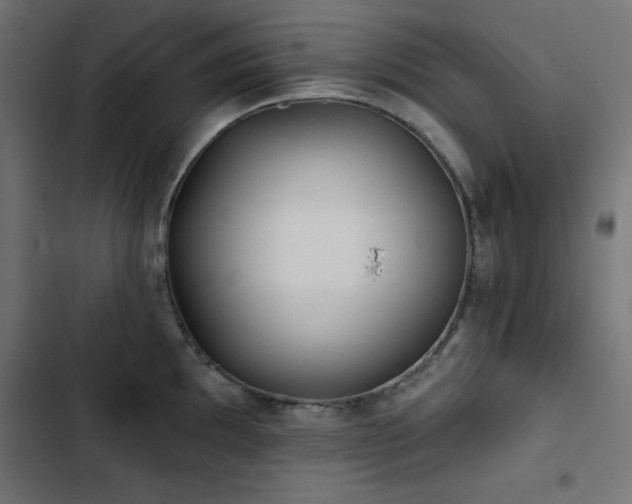 X0000103491097200809121709