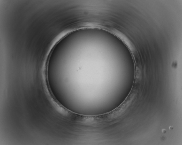 X0000103491098200809121709