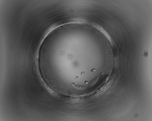 X0000103491099200809121709