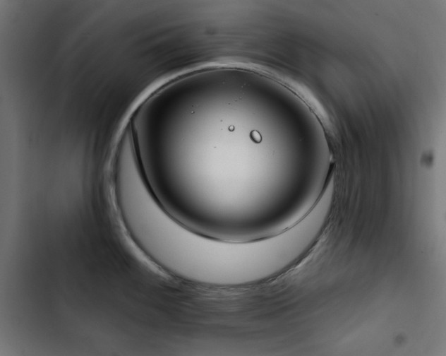 X0000103491100200809121709