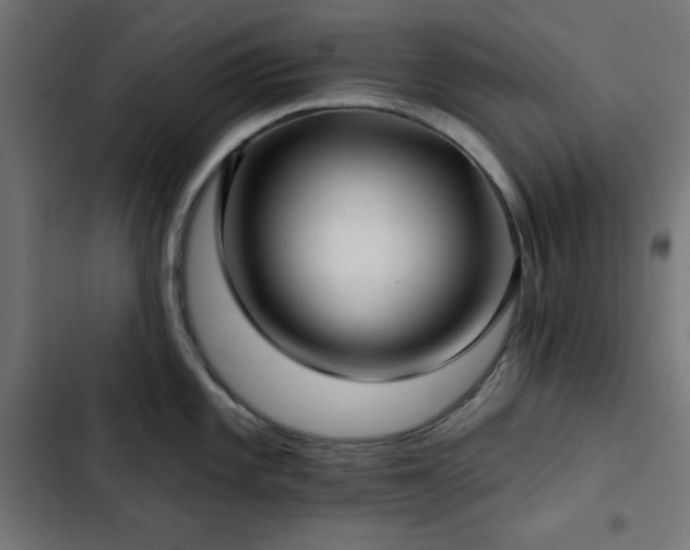 X0000103491101200809121709