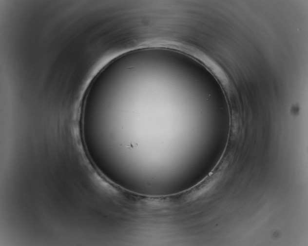 X0000103491102200809121709