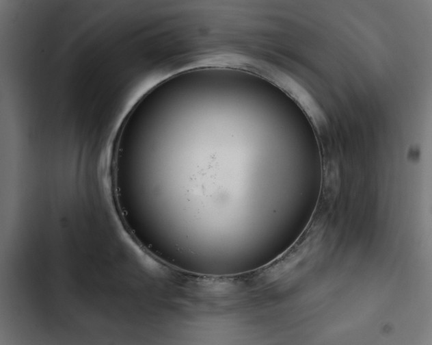 X0000103491103200809121709