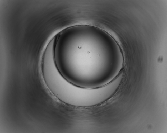 X0000103491104200809121709