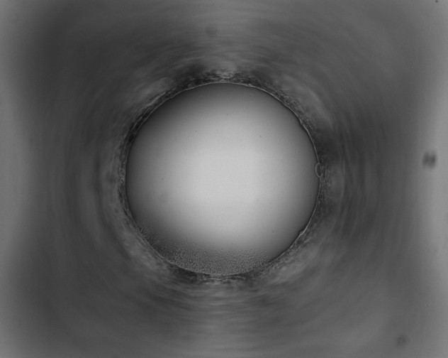 X0000103491105200809121708