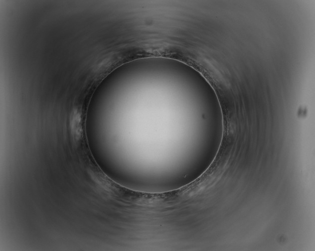 X0000103491106200809121708