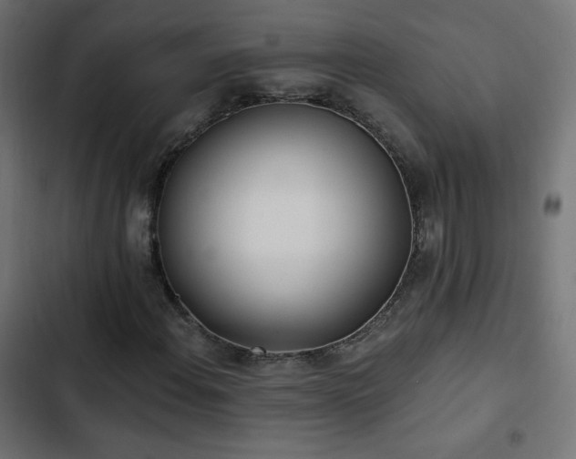 X0000103491108200809121708