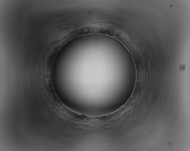 X0000103491109200809121708