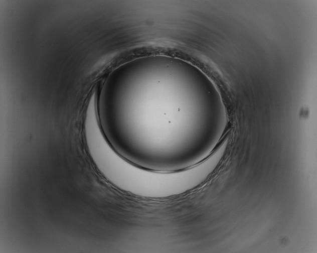 X0000103491110200809121708