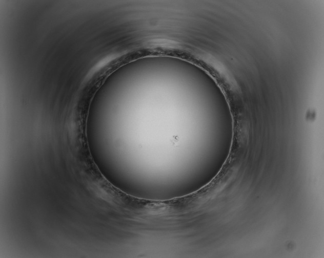 X0000103491112200809121708