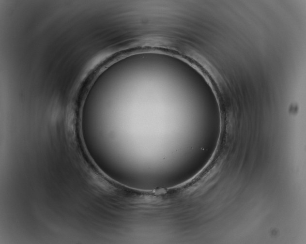 X0000103491115200809121708