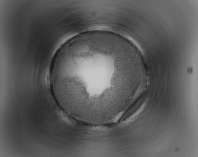 X0000103491117200809121708