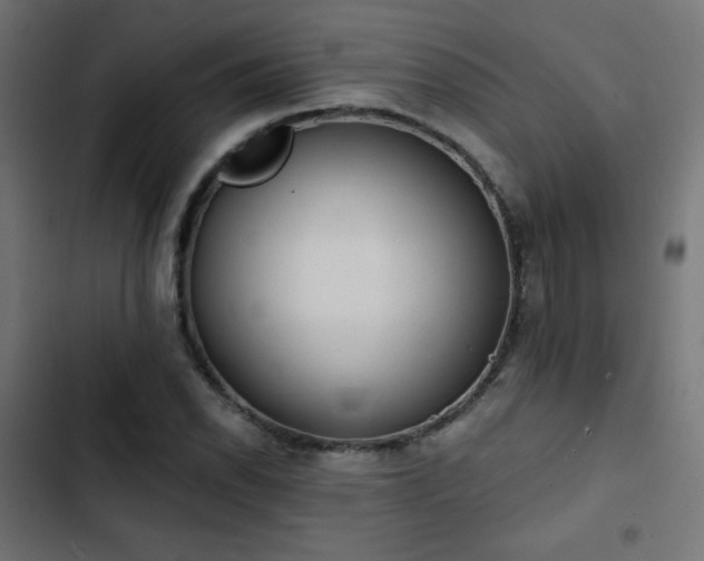 X0000103491118200809121708