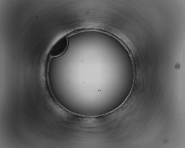 X0000103491120200809121708