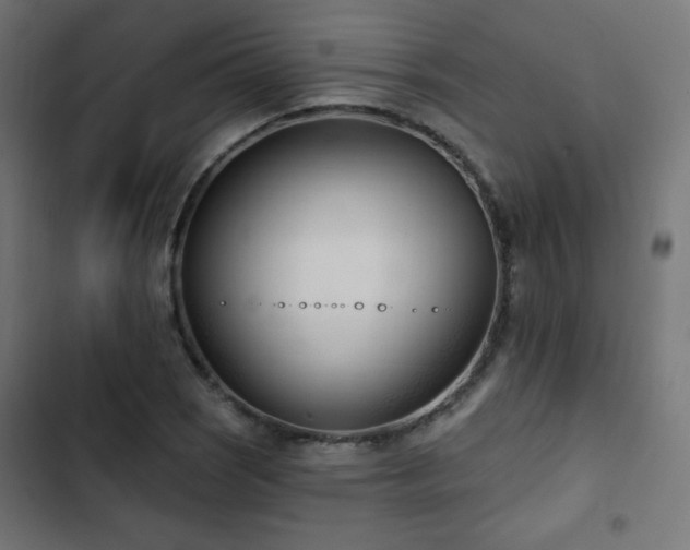 X0000103491121200809121708