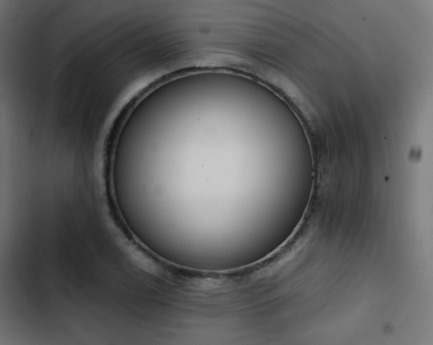 X0000103491122200809121708