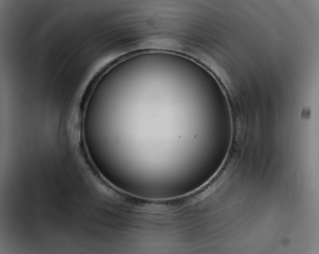 X0000103491123200809121708