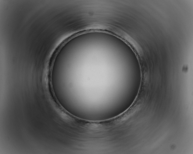 X0000103491124200809121708