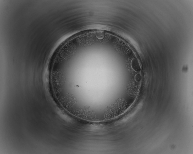 X0000103491125200809121708