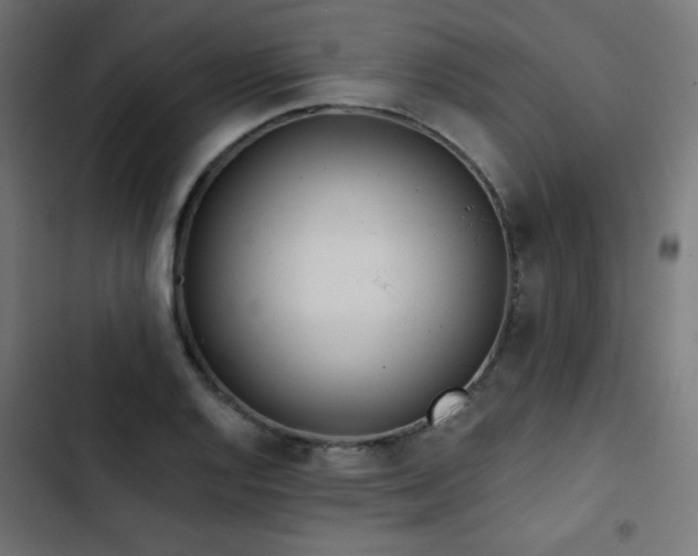 X0000103491128200809121708