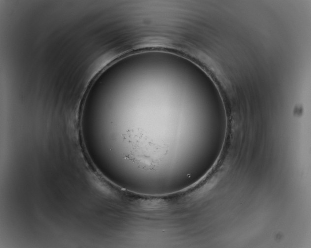 X0000103491129200809121708