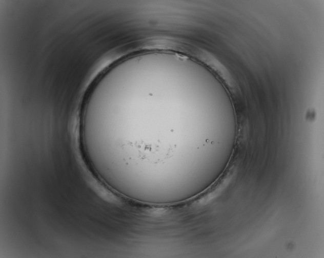 X0000103491130200809121708