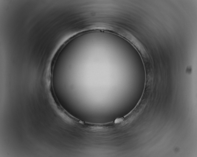 X0000103491132200809121708