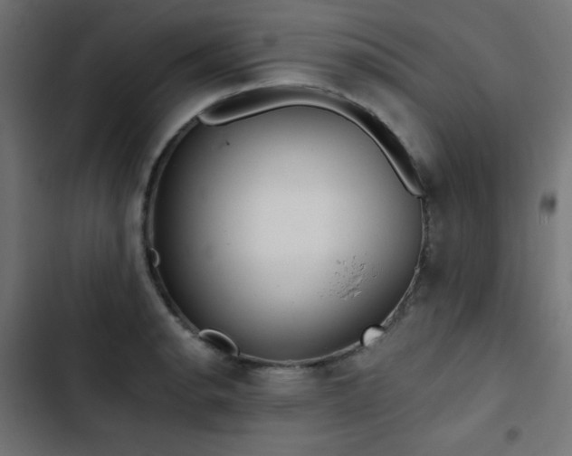 X0000103491134200809121708