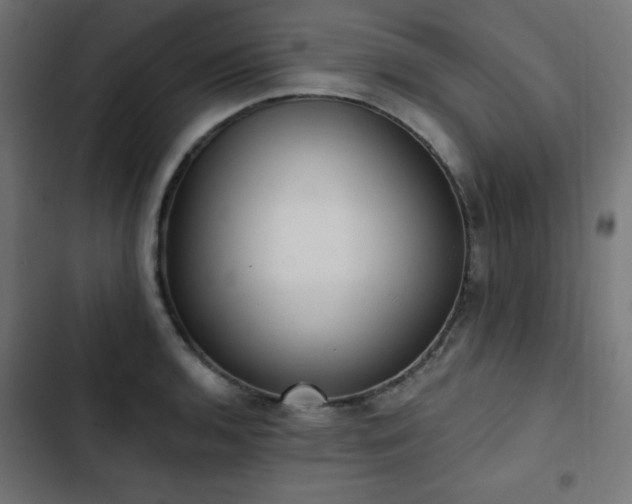 X0000103491136200809121708