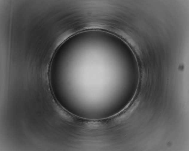 X0000103491137200809121708