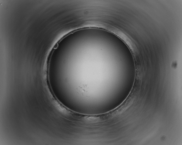 X0000103491140200809121708