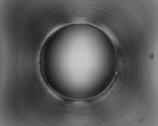 X0000103491142200809121708