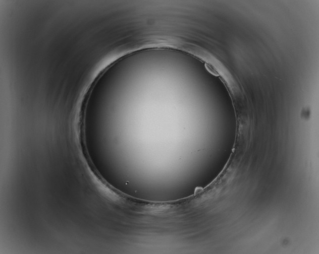 X0000103491143200809121708