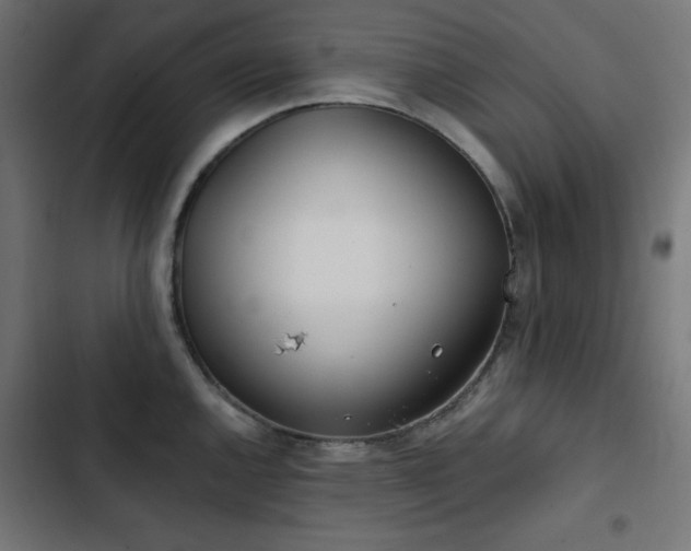 X0000103491144200809121708