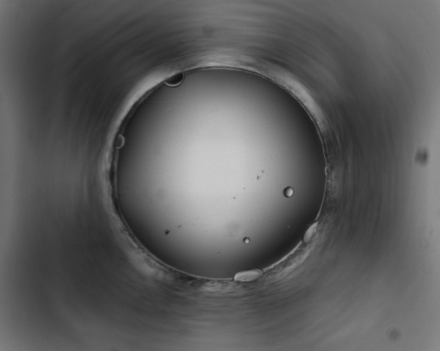 X0000103491146200809121708