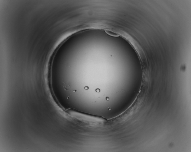 X0000103491147200809121708